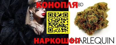 ешки Дубна